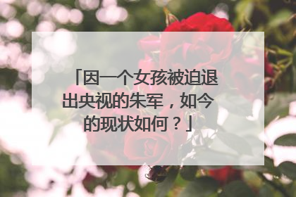 因一个女孩被迫退出央视的朱军,如今的现状如何?