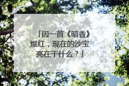 因一首《暗香》爆红，现在的沙宝亮在干什么？