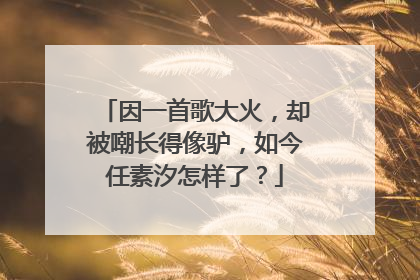 因一首歌大火,却被嘲长得像驴,如今任素汐怎样了?