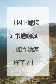 因下跪接证书遭嘲讽,如今她怎样了?
