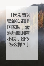 因发育过猛被迫退出国家队，转娱乐圈的陈小纭，如今怎么样？