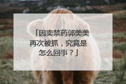 因卖禁药郭美美再次被抓，究竟是怎么回事？