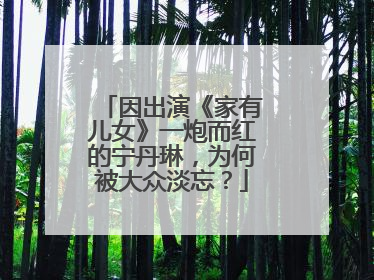 因出演《家有儿女》一炮而红的宁丹琳，为何被大众淡忘？