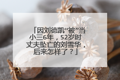 因刘德凯“被”当小三6年，52岁时丈夫坠亡的刘雪华，后来怎样了？