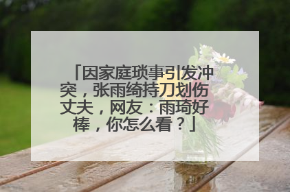 因家庭琐事引发冲突，张雨绮持刀划伤丈夫，网友：雨琦好棒，你怎么看？