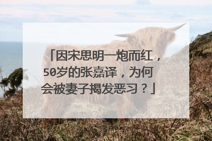 因宋思明一炮而红,50岁的张嘉译,为何会被妻子揭发恶习?