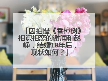 因拍摄《香樟树》相识相恋的谢润和赵峥,结婚10年后,现状如何?