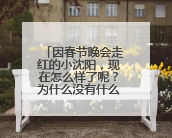 因春节晚会走红的小沈阳,现在怎么样了呢?为什么没有什么热度了呢?