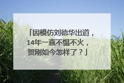 因模仿刘德华出道，14年一直不愠不火，贺刚如今怎样了？