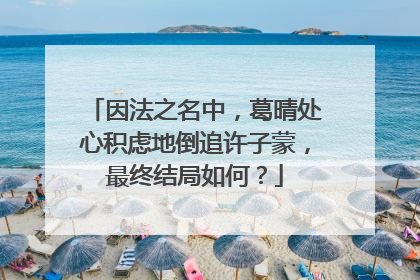 因法之名中，葛晴处心积虑地倒追许子蒙，最终结局如何？