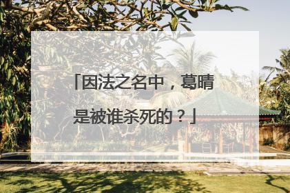 因法之名中，葛晴是被谁杀死的？