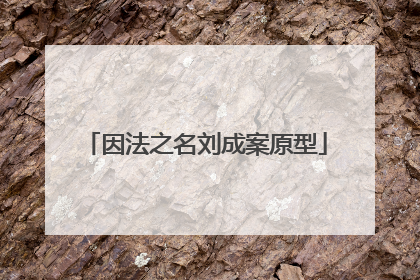 因法之名刘成案原型