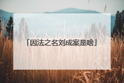 因法之名刘成案是啥