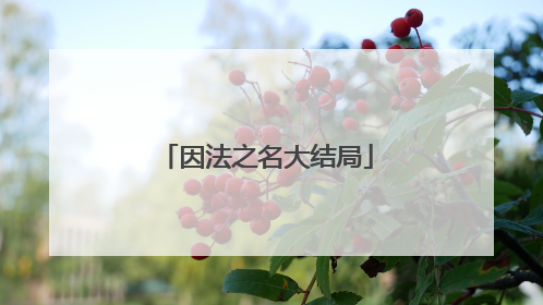 因法之名大结局