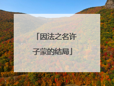 因法之名许子蒙的结局