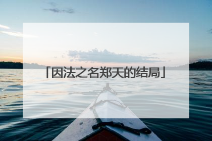 因法之名郑天的结局