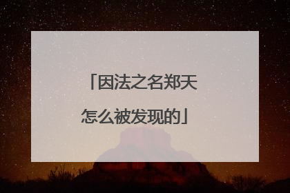 因法之名郑天怎么被发现的