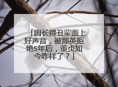 因长得丑蒙面上好声音，被那英拒绝5年后，董贞如今咋样了？