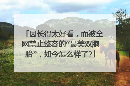 因长得太好看，而被全网禁止整容的“最美双胞胎”，如今怎么样了?