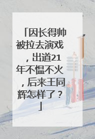 因长得帅被拉去演戏,出道21年不愠不火,后来王同辉怎样了?