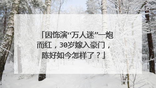 因饰演“万人迷”一炮而红，30岁嫁入豪门，陈好如今怎样了？