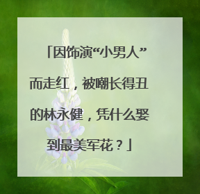 因饰演“小男人”而走红，被嘲长得丑的林永健，凭什么娶到最美军花？
