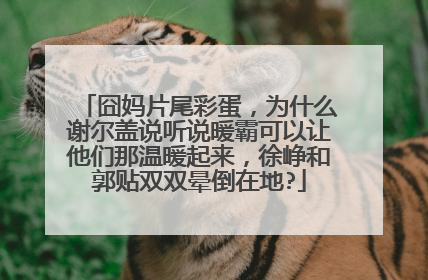 囧妈片尾彩蛋，为什么谢尔盖说听说暖霸可以让他们那温暖起来，徐峥和郭贴双双晕倒在地?