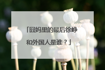 囧妈里的最后徐峥和外国人是谁？