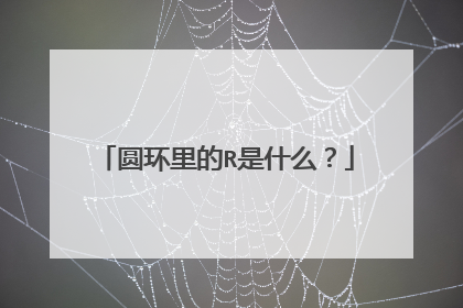 圆环里的R是什么？