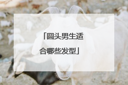 圆头男生适合哪些发型