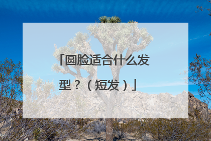 圆脸适合什么发型?(短发)