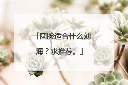 圆脸适合什么刘海？求推荐。