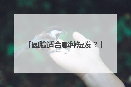 圆脸适合哪种短发?