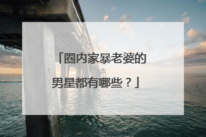 圈内家暴老婆的男星都有哪些？