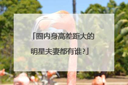 圈内身高差距大的明星夫妻都有谁?