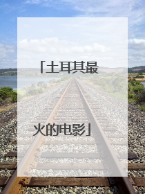 土耳其最火的电影