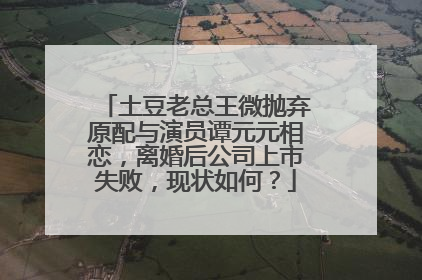土豆老总王微抛弃原配与演员谭元元相恋，离婚后公司上市失败，现状如何？