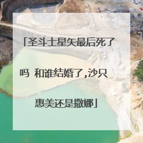 圣斗士星矢最后死了吗 和谁结婚了,沙只 惠美还是撒娜