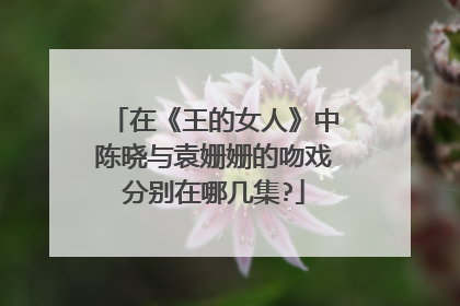 在《王的女人》中陈晓与袁姗姗的吻戏分别在哪几集?