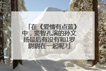 在《爱情有点蓝》中，窦智孔演的孙文扬最后有没有和l罗尉尉在一起呢?
