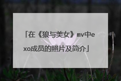 在《狼与美女》mv中exo成员的照片及简介