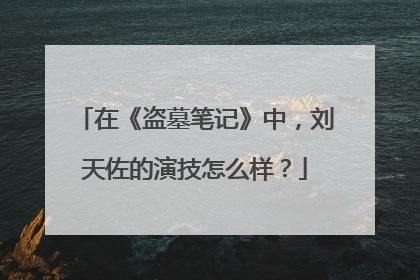 在《盗墓笔记》中，刘天佐的演技怎么样？