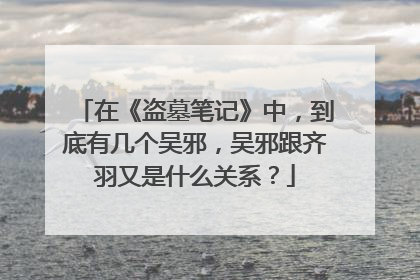 在《盗墓笔记》中,到底有几个吴邪,吴邪跟齐羽又是什么关系?