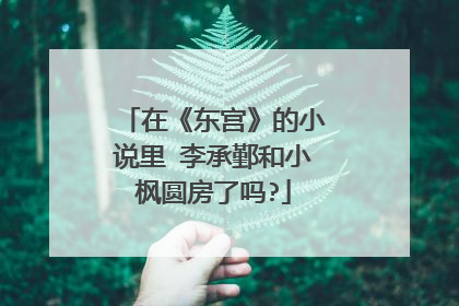 在《东宫》的小说里 李承鄞和小枫圆房了吗?