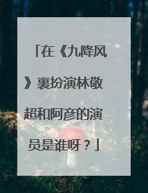 在《九降风》裏扮演林敬超和阿彦的演员是谁呀?