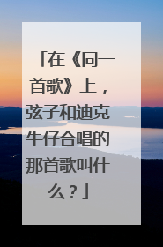 在《同一首歌》上，弦子和迪克牛仔合唱的那首歌叫什么？