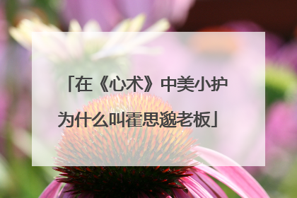 在《心术》中美小护为什么叫霍思邈老板