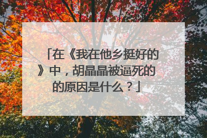 在《我在他乡挺好的》中,胡晶晶被逼死的的原因是什么?