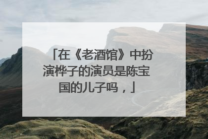 在《老酒馆》中扮演桦子的演员是陈宝国的儿子吗,