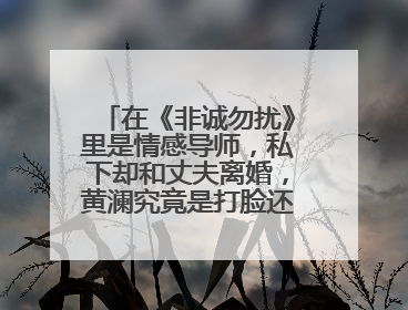 在《非诚勿扰》里是情感导师，私下却和丈夫离婚，黄澜究竟是打脸还是可笑？